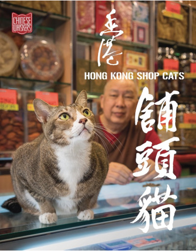 Chinese Whiskers: Hong Kong shop cats