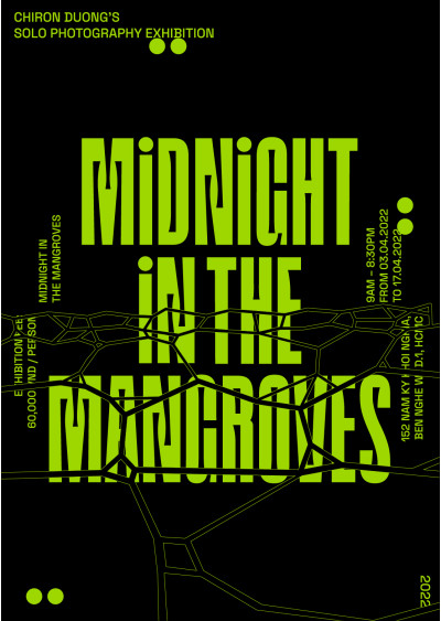 MIDNIGHT IN THE MANGROVES