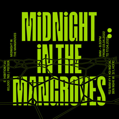 MIDNIGHT IN THE MANGROVES